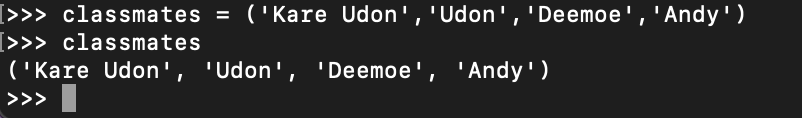 image-20241111200316197