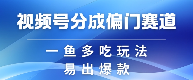 视频号创作者分成计划偏门类目，容易爆流，实拍内容简单易做