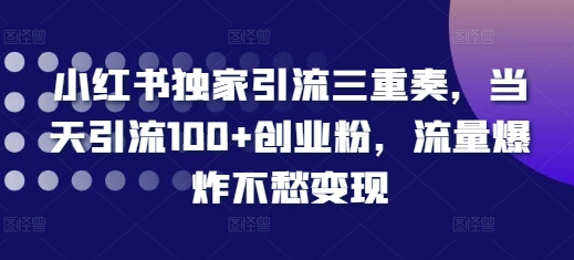 小红书独家引流三重奏，当天引流100+创业粉，流量爆炸不愁变现