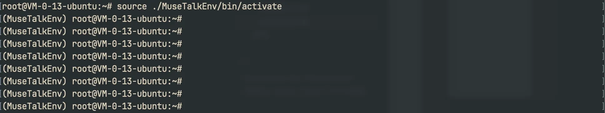 激活后的虚拟环境