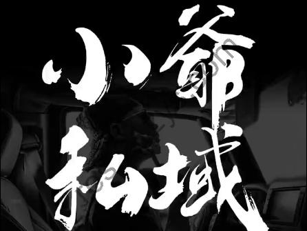 小爷·私域项目操盘手