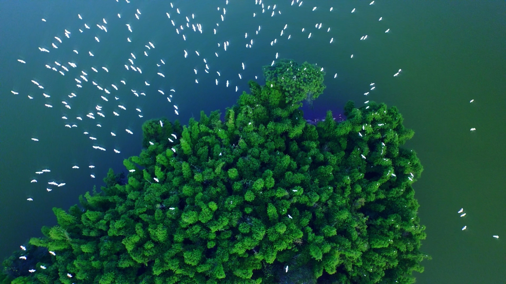 Stewed Noodles 资源