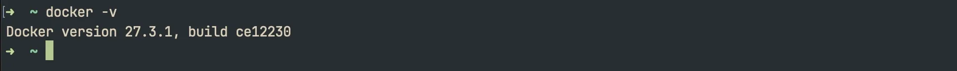 检测 docker 版本