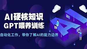 AI硬核知识-GPT喂养训练，自动化工作，带你了解AI的能力边界