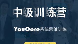 YouCore系统思维中级训练营