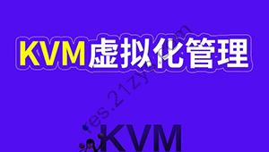 大厂Data Center KVM虚拟化技术 深入KVM虚拟化基实战部署 数据中心效能提升大揭秘