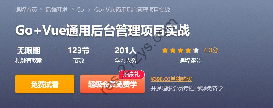 Go＋Vue 通用后台管理项目实战  从0到1搭建前后端项目 价值398