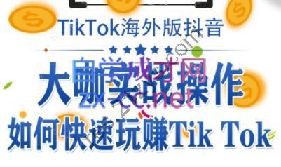 泰东老师·TikTok全域运营课