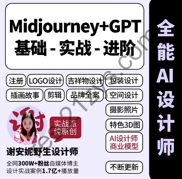 Midjourney设计师偷懒课，谢安妮人人都是ai设计师 价值499