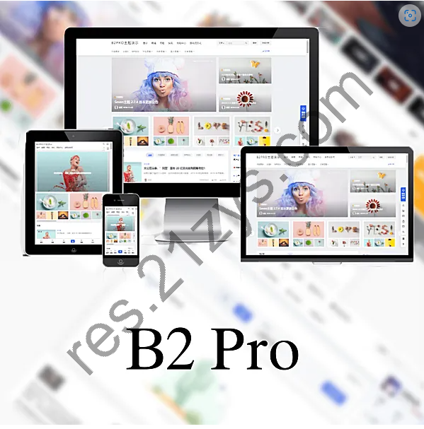 B2 PRO v4.2.6 破解授权版 WordPress 资讯、资源、社交、商城、圈子、导航等多功能商用主题