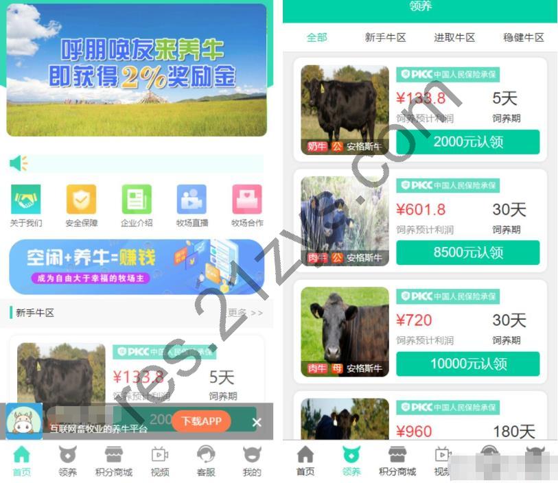 牧场养牛 带积分商城+抽奖+会员特权 区块源码