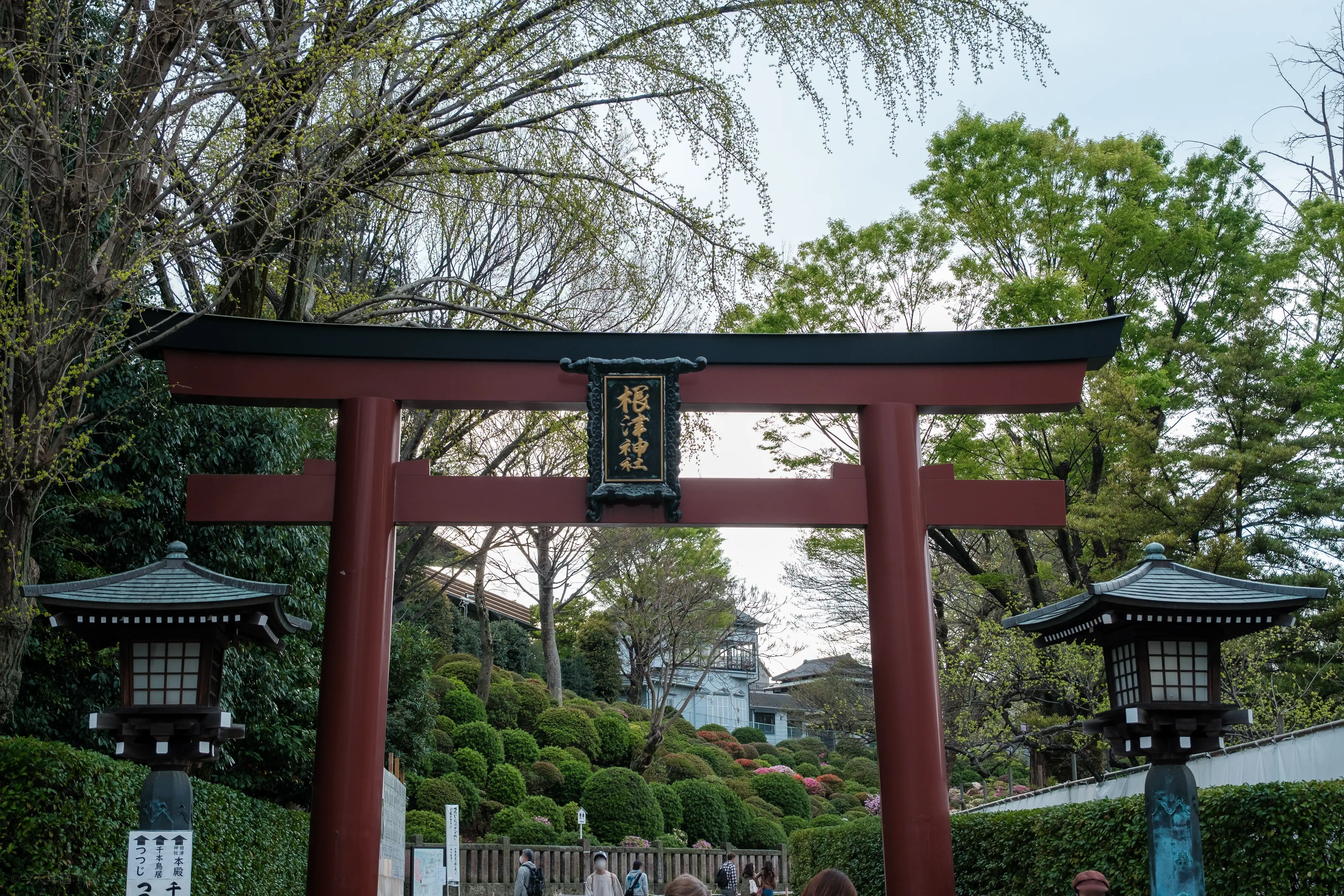 根津神社正门鸟居