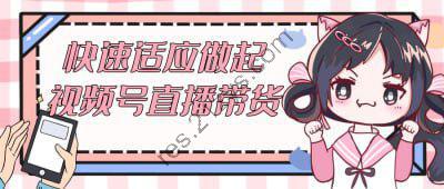 快速适应做起视频号直播带货