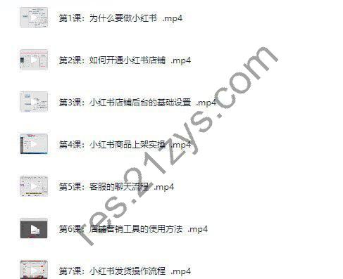 《小红书电商运营·从入门到精髓》价值两千多[mp4]
