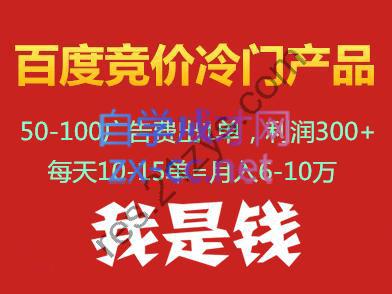 我是钱百度竞价冷门产品项目(39-59期)