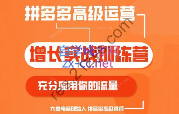 大麦老师·拼多多单品爆款打造课程（更新6月）