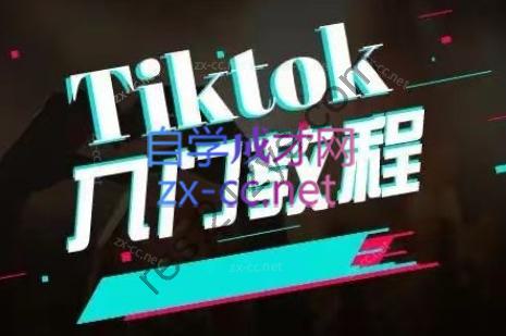 纵横跨境·2024TikTok变现实操课程