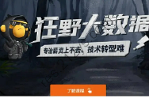 狂野大数据5期，完结，资料+视频，价值18000