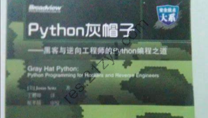 Python灰帽子网络安全实践