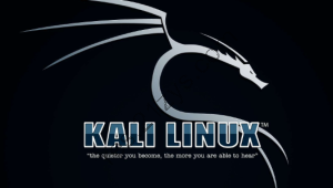 最全的KALI&BT5 linux网络攻防教程