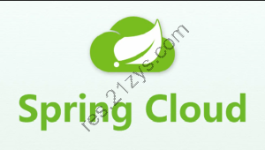 尚硅谷2024最新版SpringCloud教程