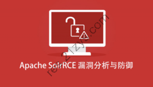 Apache SoIrRCE漏洞分析与防御