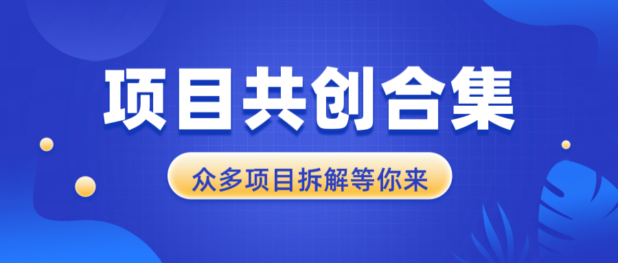 （13778期）项目共创合集，从0-1全过程拆解，让你迅速找到适合自已的项目