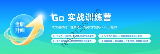 Go实战训练营|完结高清|独家精品