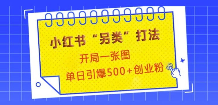 小红书“另类”打法，开局一张图，单日引爆500+精准创业粉