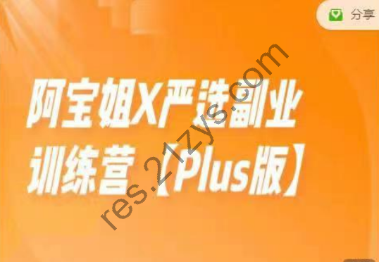 阿宝姐X严选副业训练营【Plus】|价值7980|独家精品