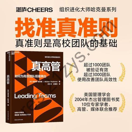 《真高管：如何为高效团队搭建舞台》