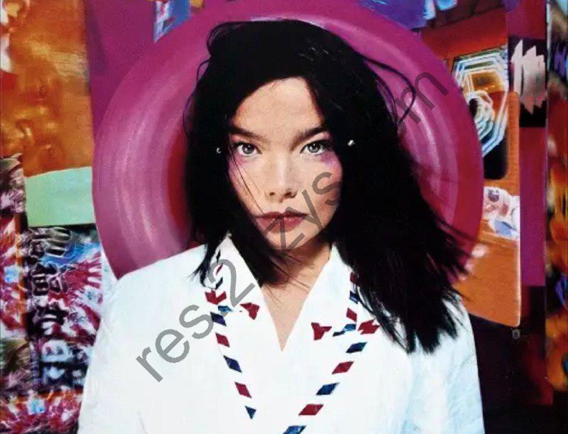 Björk -1995年专辑 – Post    Flac