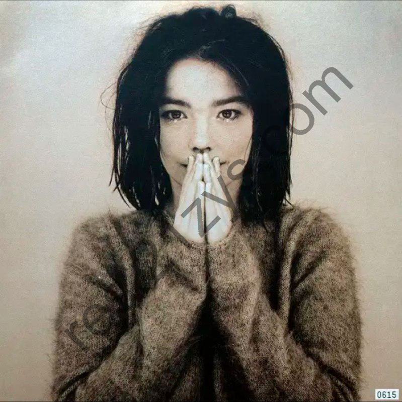 Björk -1993年专辑 – Debut   Flac