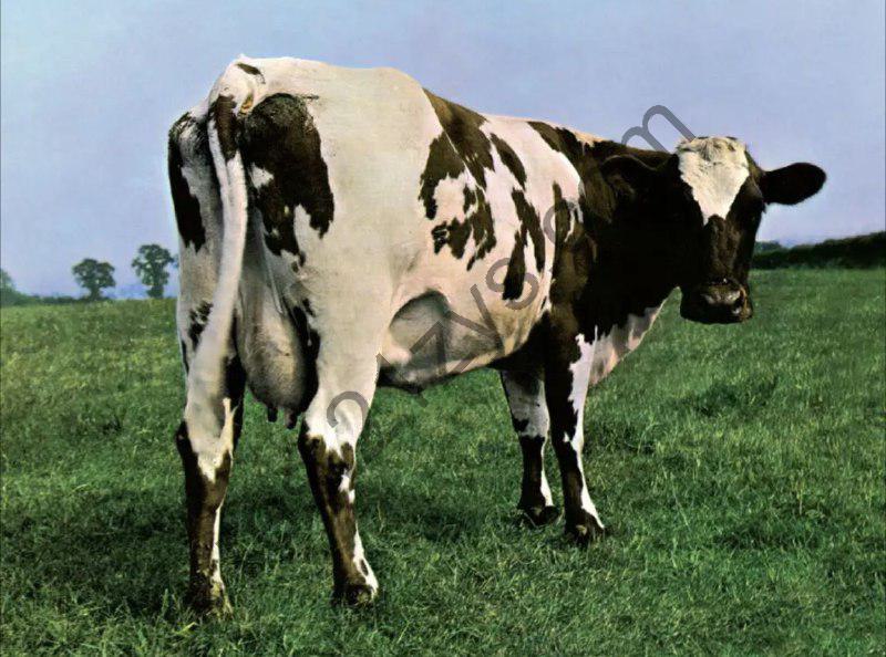 Pink Floyd -1970年专辑 – Atom Heart Mother   Flac