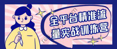 全平台精准流量实战训练营