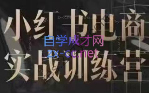 余文·小红书电商实战训练营（更新24年6月）