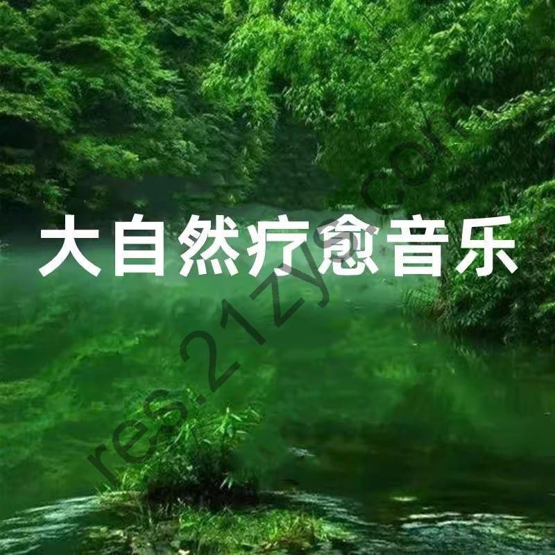 大自然音乐系列合集