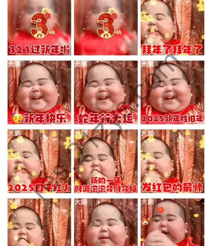 小胖子新春表情包：2025发大财 蛇年行大运