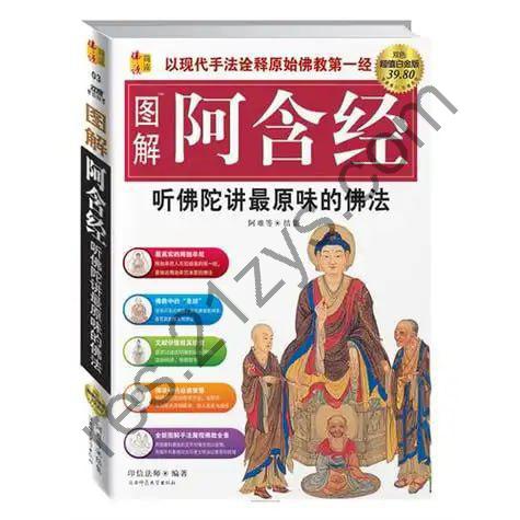《阿含经校注》全九册 恒强法师 汉译 精注 未删减[epub]