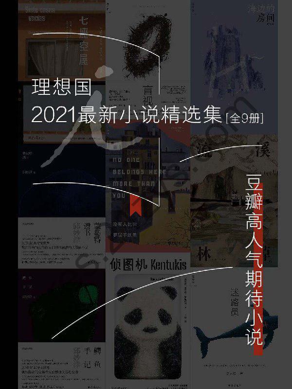 《理想国2021最新小说精选集》全9册 豆瓣高人气小说[pdf]