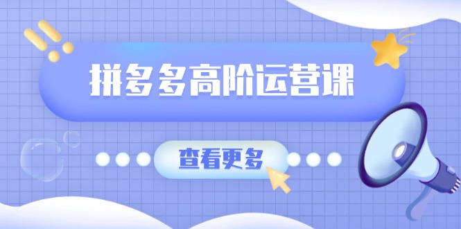 （14327期）拼多多高阶运营课：极致群爆款玩法，轻付费无尽复制，打造单品爆款之路