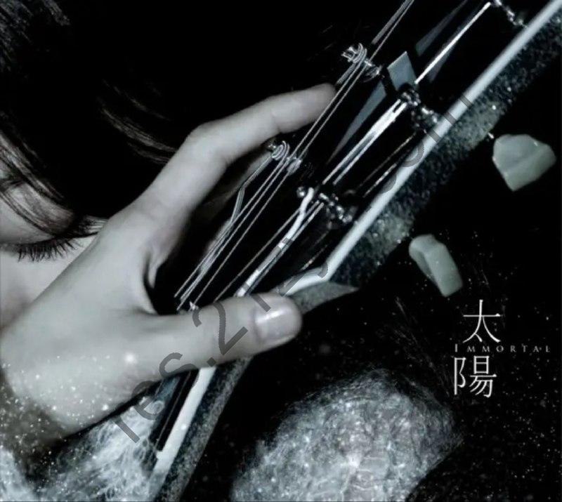 陈绮贞 -2009年专辑 – 太阳   Flac
