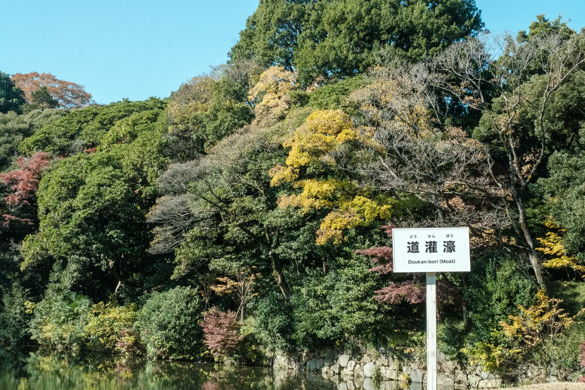 道 灌 壕