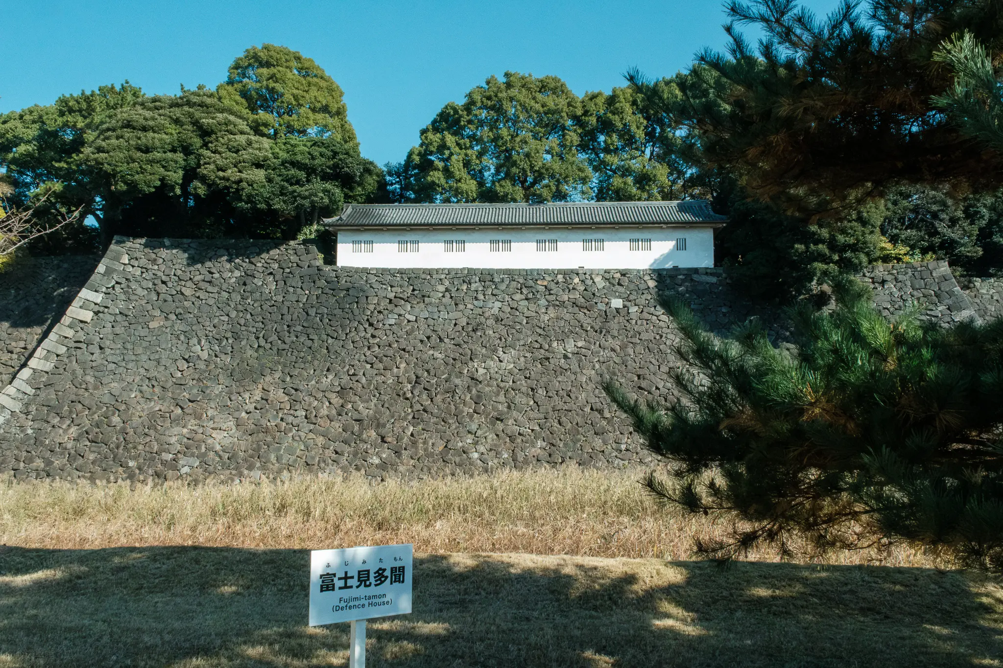 富士见多闻