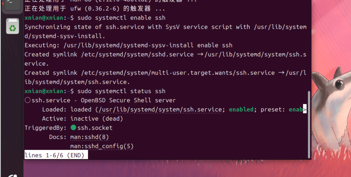 PixPin_2025-03-21_08-20-47