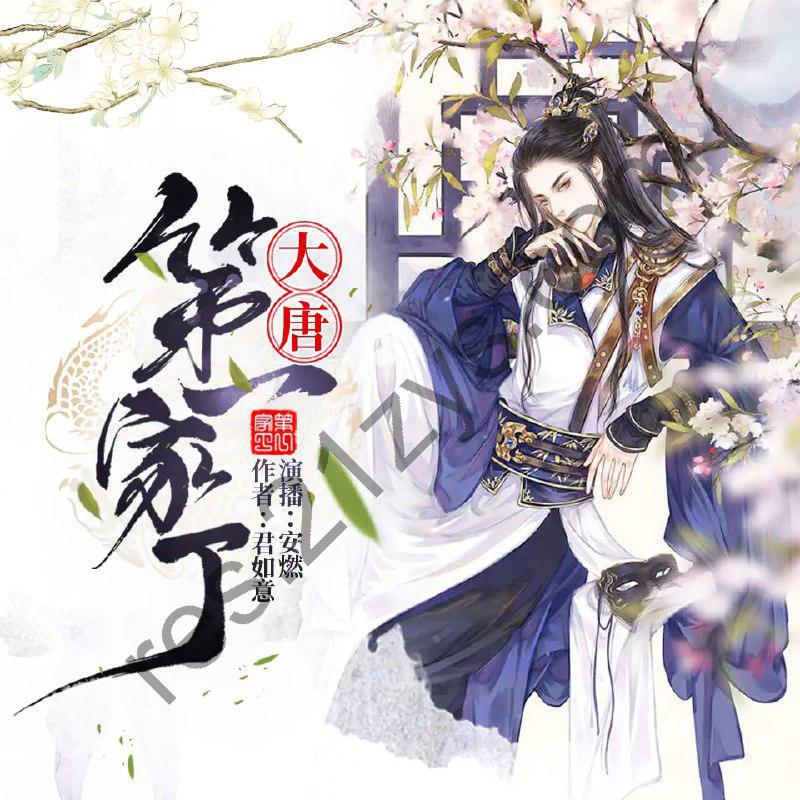 有声小说《大唐第一家丁》著：君如意 播：安燃460集完