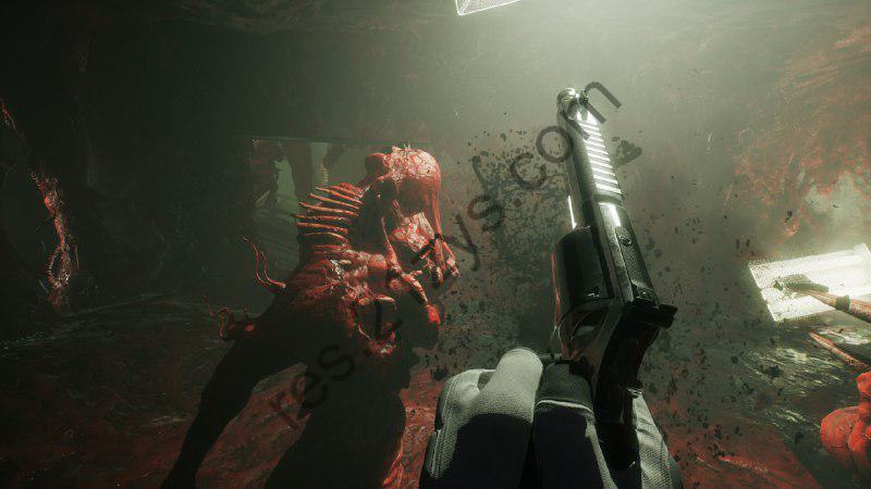 SCP：大流行病(版本持续更新)_SCP_5K