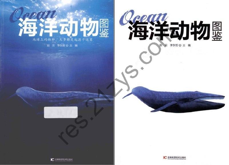 《海洋动物图鉴》地球上的物种 大多是起源于这里[pdf]