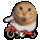 1000110180.gif