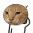1000110182.gif